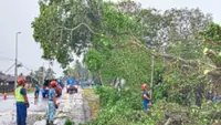 Storm topples tree near house of Tanjung Sepat assemblyman