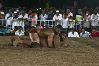 Rooted in the earth, Indian traditional mud wrestling thrives