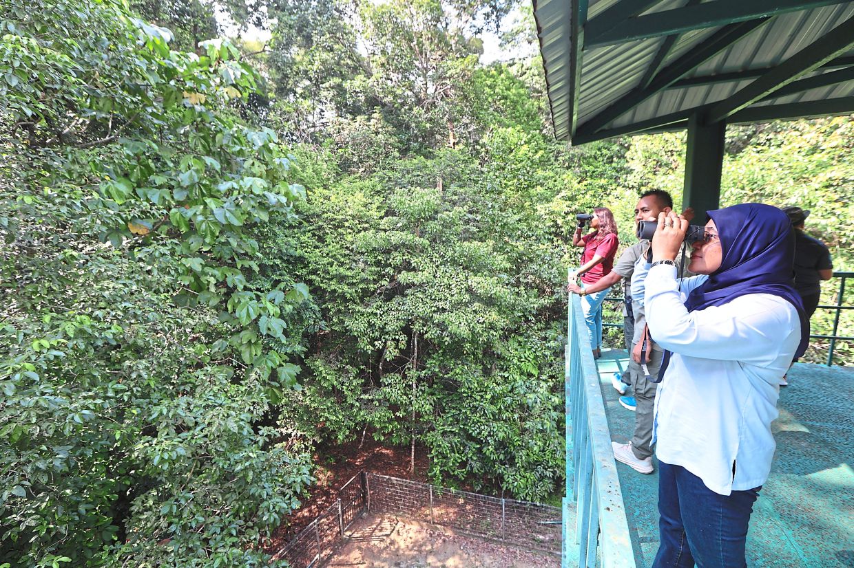 Visitors at the Panti Bird Sanctuary using binoculars to observe the various birds in the area.