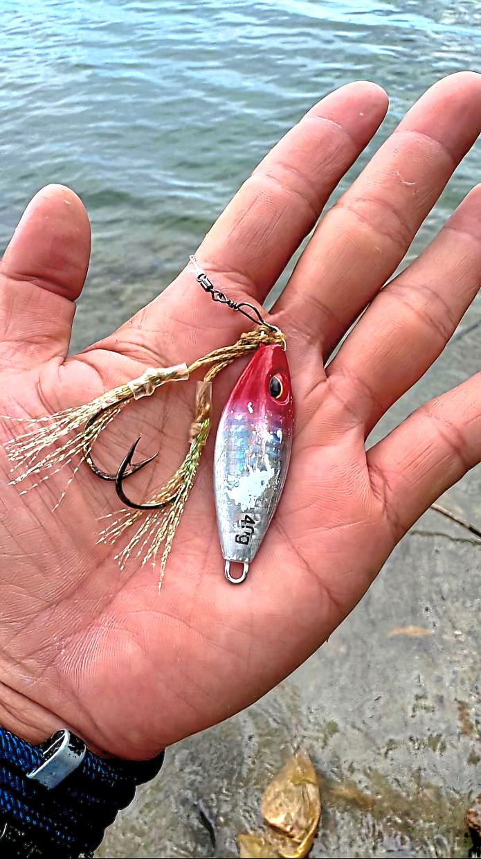 A 40gm jig Hor uses to land senangin off PD Waterfront.