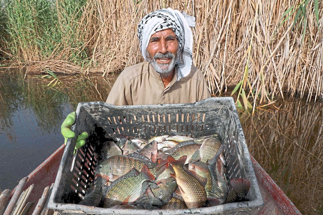 A fisherman showing his catch. Plans to drill for oil in the protected Mesopotamian Marshes of southern Iraq have galvanised villagers and activists determined to save the mythical wetlands already battered by years of drought. — AFP 