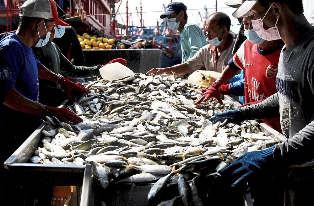 Fisheries