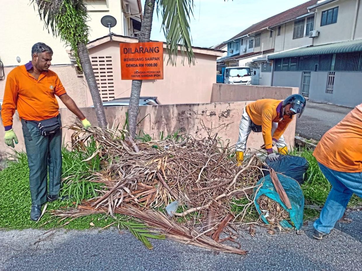 A cleaner, greener Ipoh is part of the Doughnut Economics that seeks to balance humanity’s needs with the planet’s ecological boundaries.