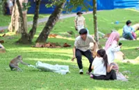 Wildlife threats spike in Kuala Krai