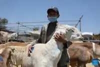 Afghans struggle to mark Aidil Adha amid US sanctions