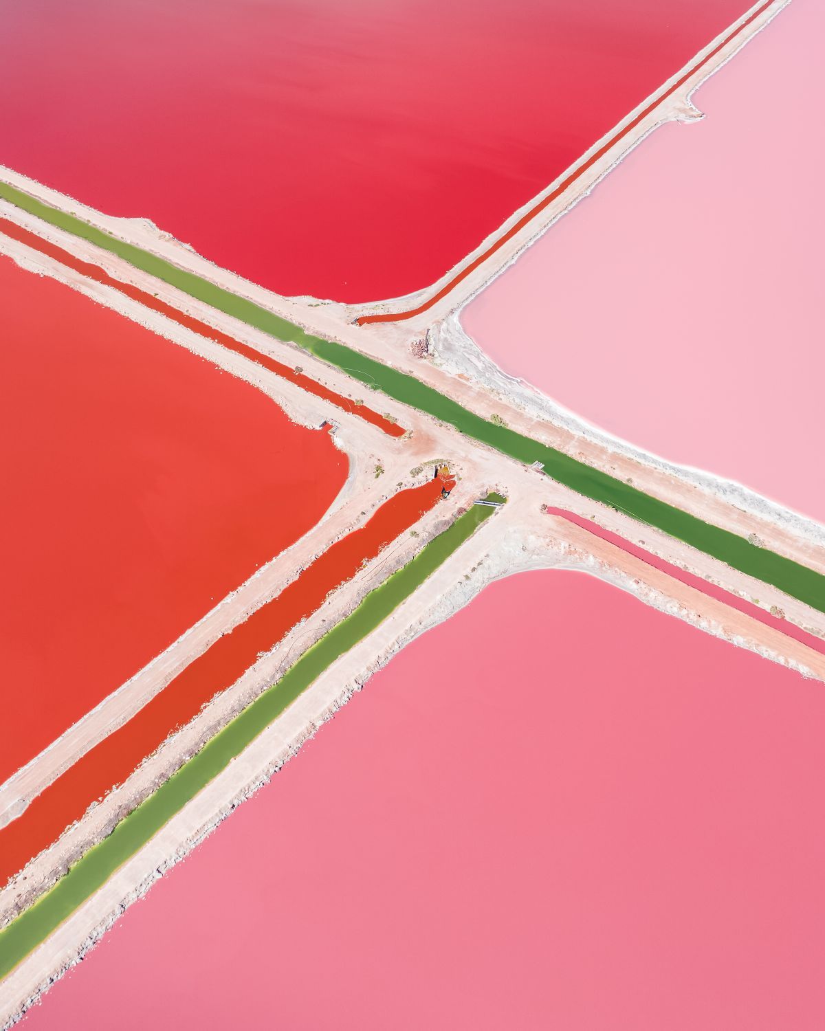 Pink Lake, Hutt Lagoon's vibrant colors are caused by the presence of carotenoid-producing algae, creating a surreal and naturally colorful landscape.