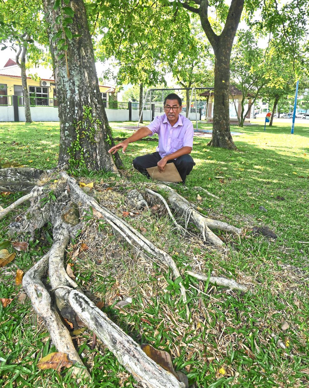 Yee showing protruding tree roots with the potential of damaging the nearby jogging track.