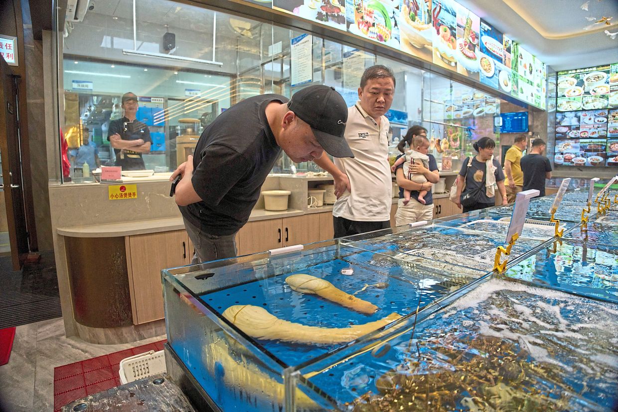 A customer looking at geoducks from Canada at a restaurant in Sanya in southern China’s Hainan province. — AP