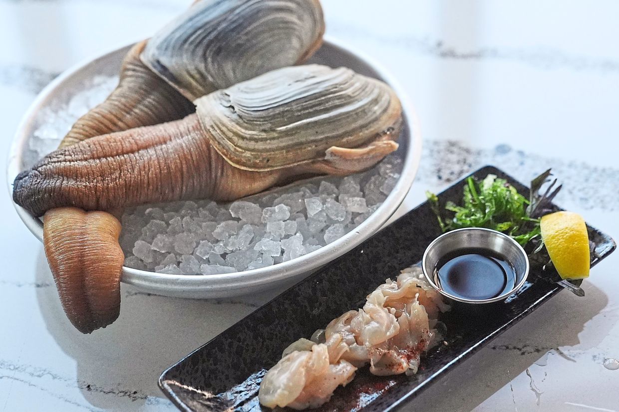 Two whole geoducks (left) are displayed with a sashimi preparation of the clam, at Chelsea Farms Oyster Bar in Olympia, Washington. — AP