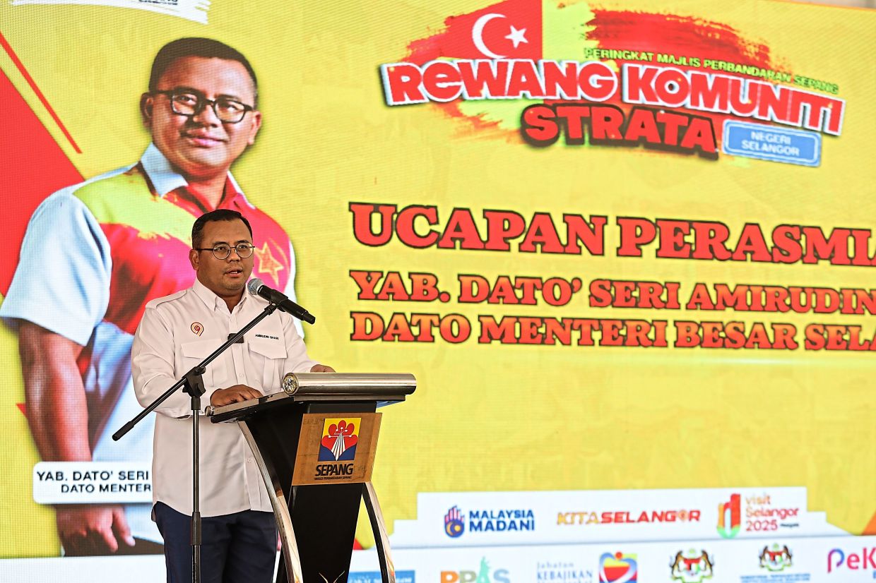 Amirudin says the state approved RM10mil for the DSS fund under this year’s budget.