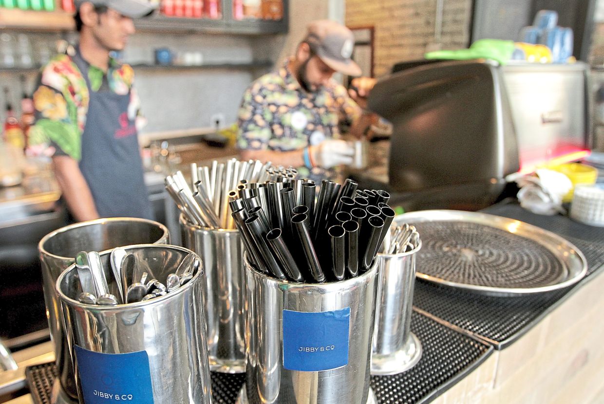 Metal straws are alternatives that customers can bring along when dining out. — Filepic and courtesy of Sahabat Alam Malaysia