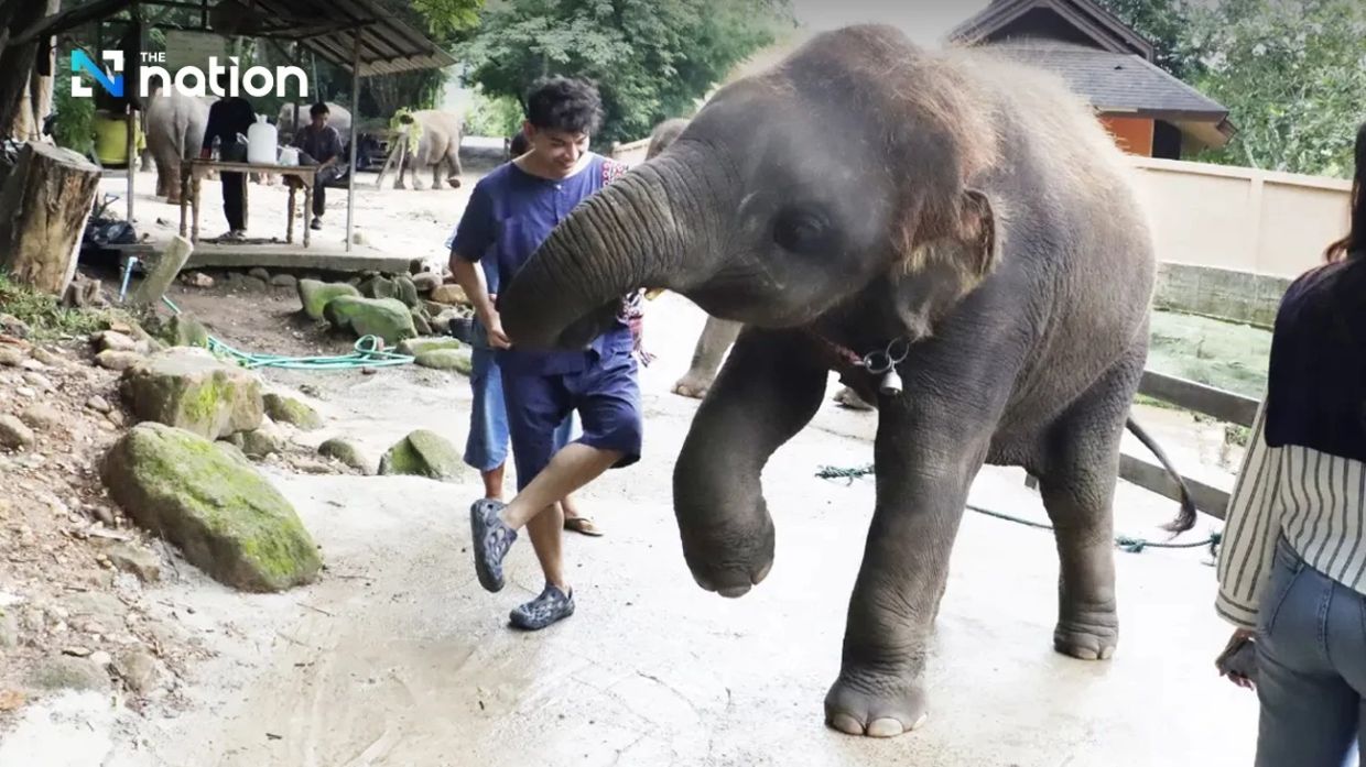 - Photo: The Nation/ANN