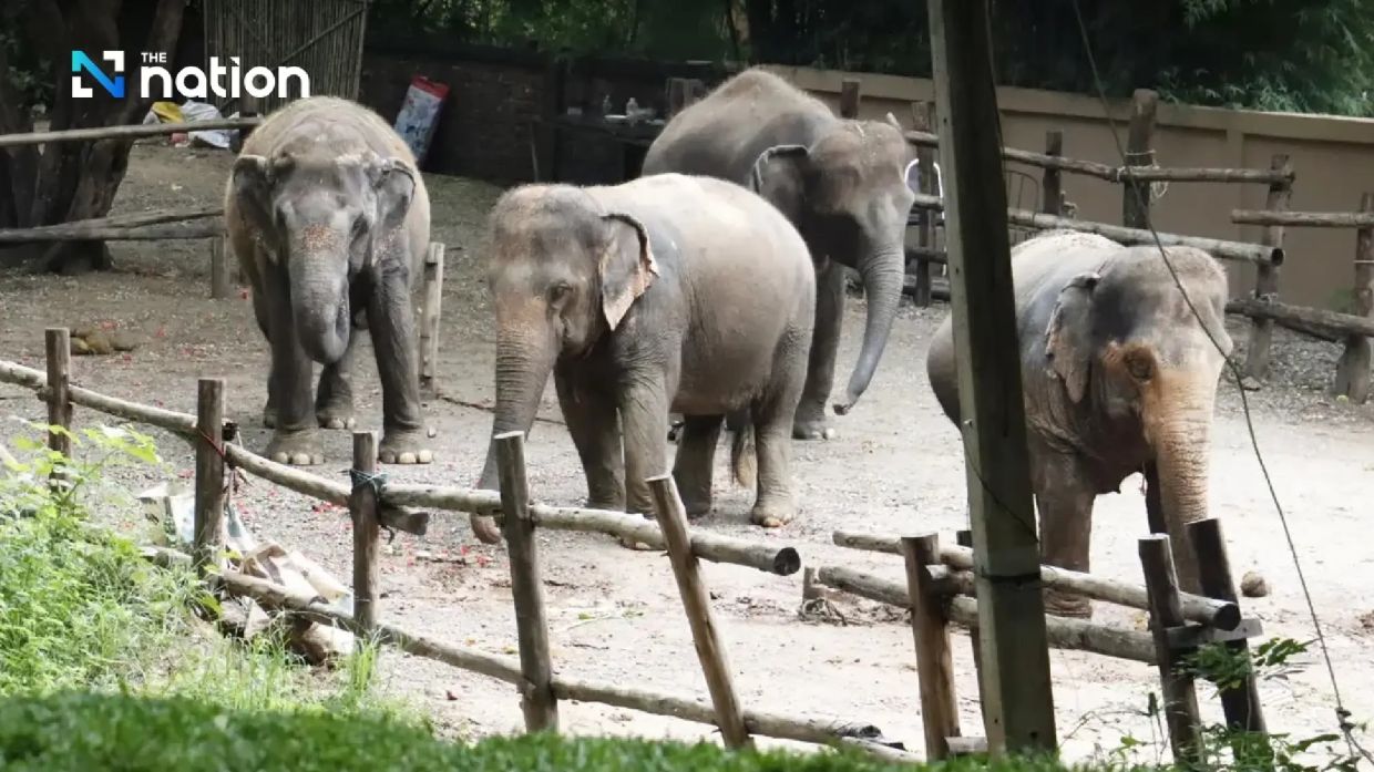 - Photo: The Nation/ANN