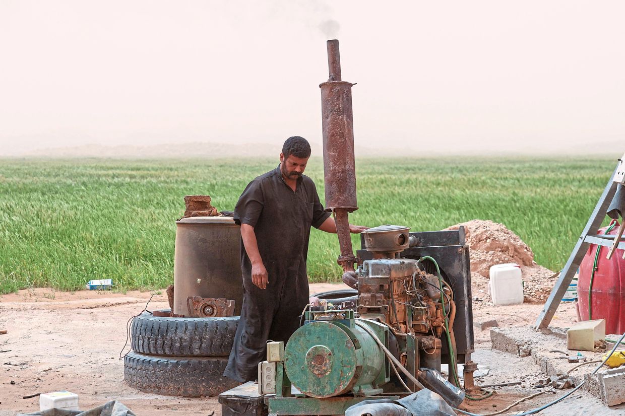 A farmer checks the water drilling system in a wheat field in the heart of the southern Najaf desert. — Photos: QASSEM AL-KAABI/AFP