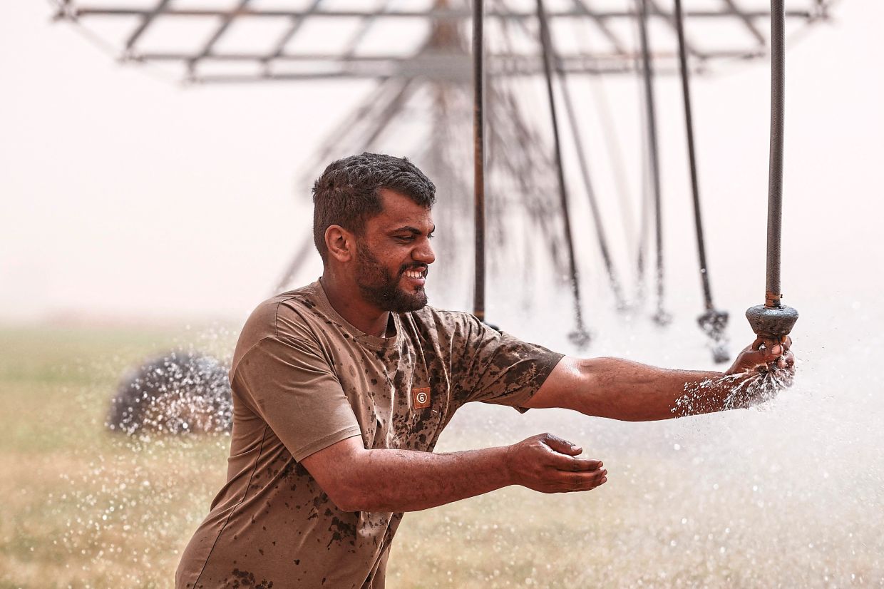 Farmer Zain Al-Abidin adjusts the irrigation system in a wheat field.