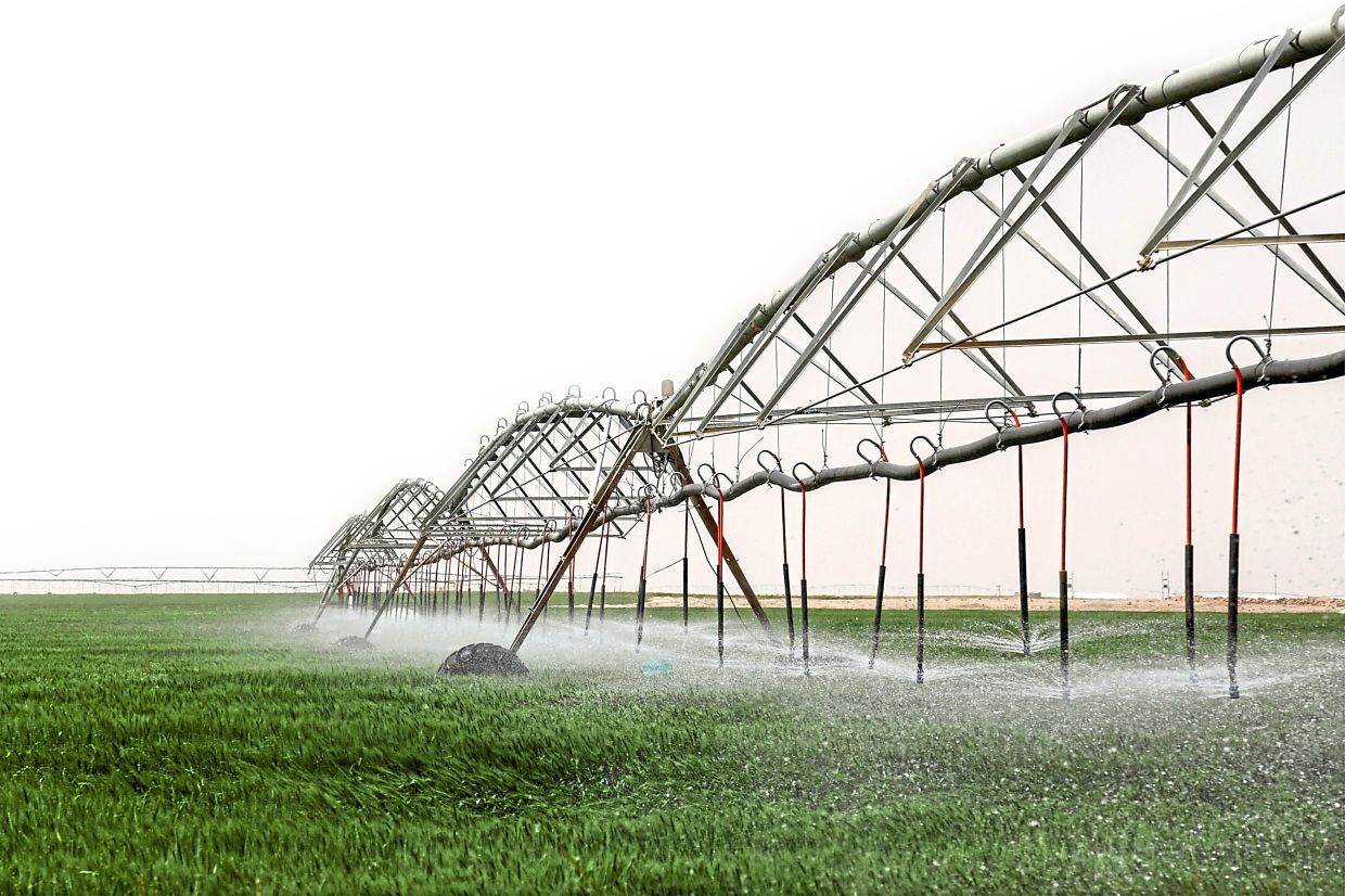 An irrigating system supplied by groundwater in a wheat field near the central city of Karbala. — Photos: AFP