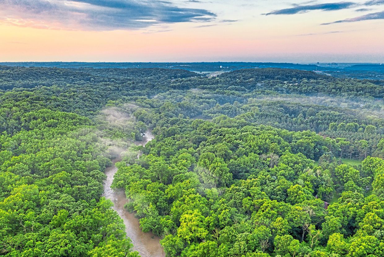 Crossing 2°C warming risks could turn the Amazon rainforest into a savannah. — TOM FISK/Pexels