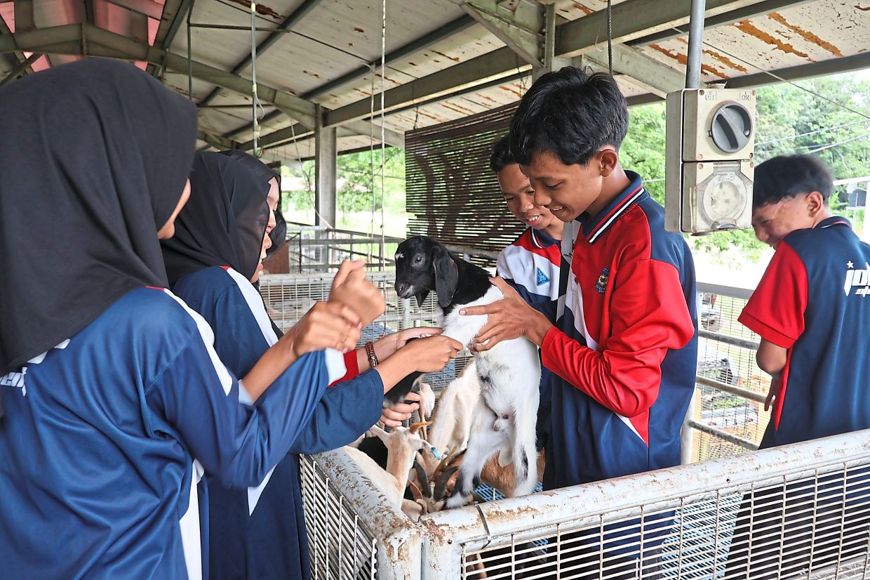 Students from Pontian secondary schools taking a group photo during their visit to Universiti Putra Malaysia (above) and handling animals (below) at UPM’s livestock unit.
