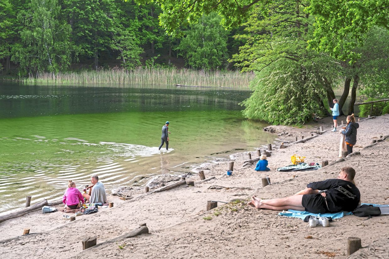 In summer, a short stroll in flip-flops and a swimsuit leads straight to the Krumme Lanke lake. It looks idyllic. But dig deeper – literally – and its sinister roots surface. — Patrick Junker/The New York Times