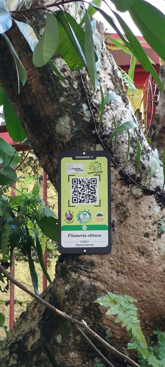 All 42 historically significant trees along the Sandakan Heritage Trail are each tagged and QR-coded to enhance visitor experience and promote eco-heritage tourism.