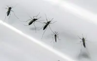 Why South-east Asia must lead the fight against neglected tropical diseases