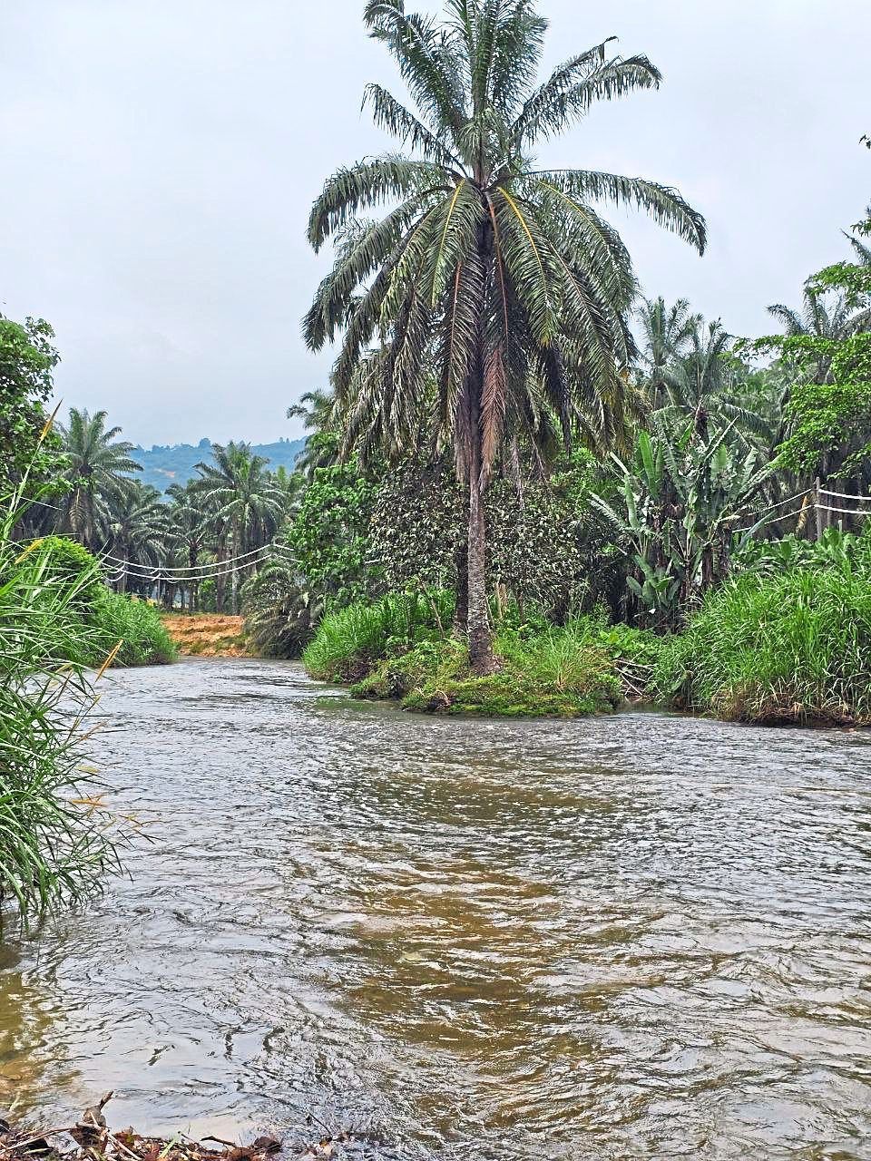 The Semai community in Raub live near the river. — Photos provided