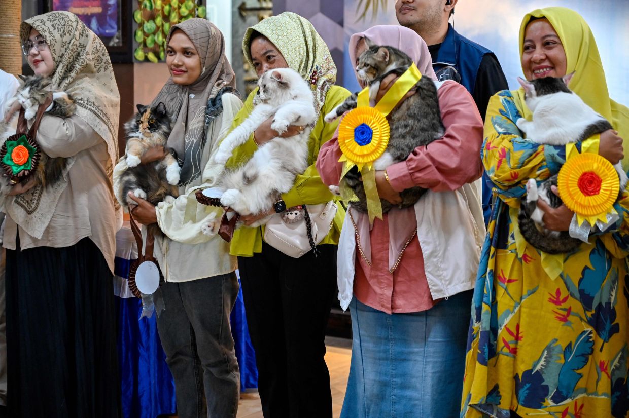 Women hold their cats while taking part in a contest at an animal exhibition in a shopping mall in Banda Aceh. --Photo by CHAIDEER MAHYUDDIN / AFP