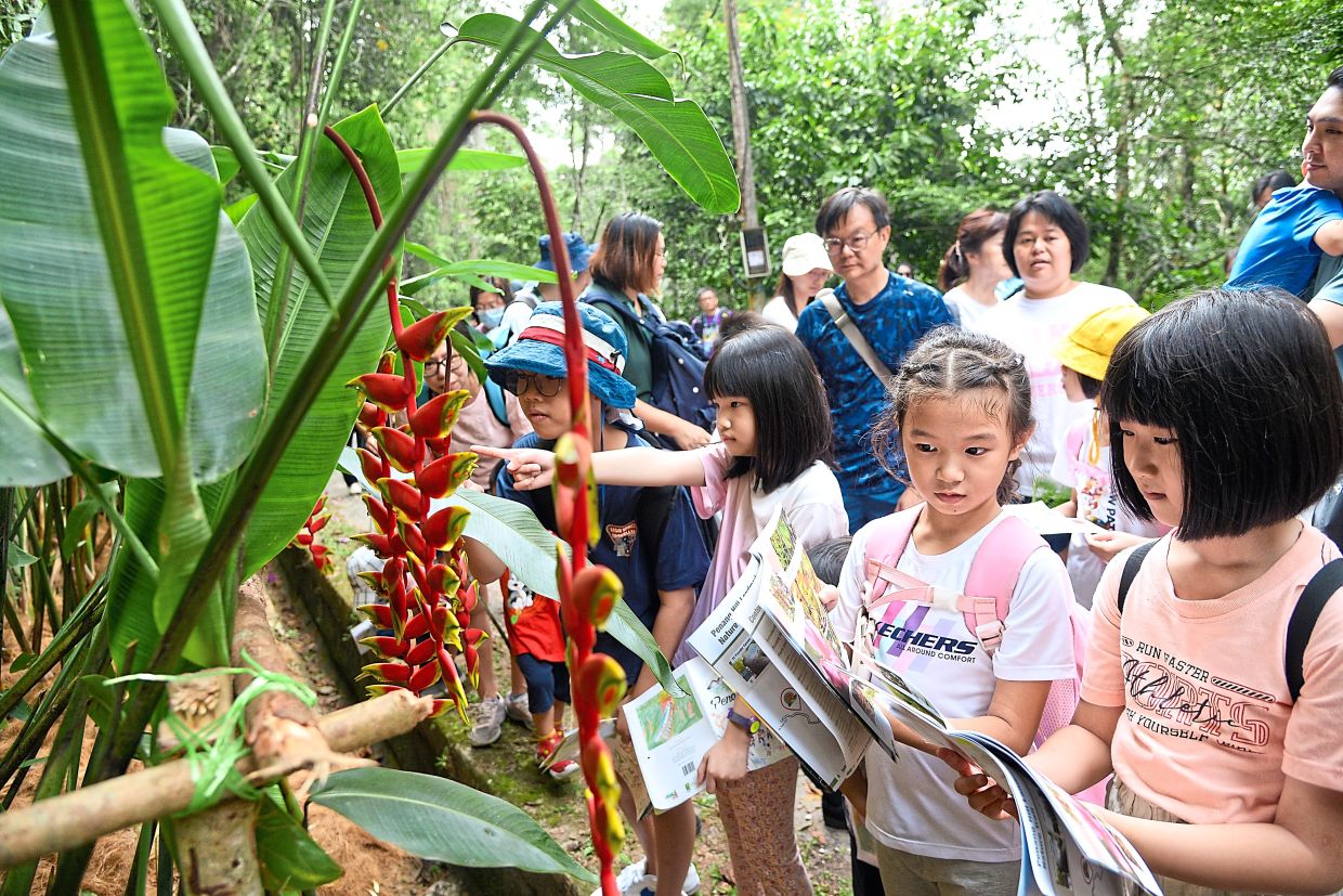 The Junior Rainforest Exploration includes many hands-on activities to cultivate an appreciation for nature among children.