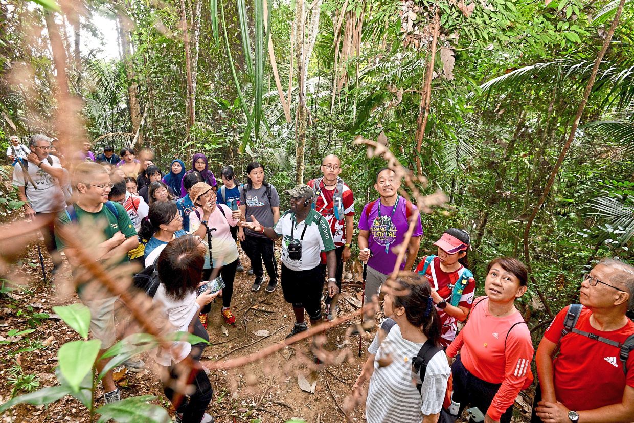 The Moniot Trail allows one to check out the hill’s oldest track, created by the British in 1825 for horse-drawn carriages.