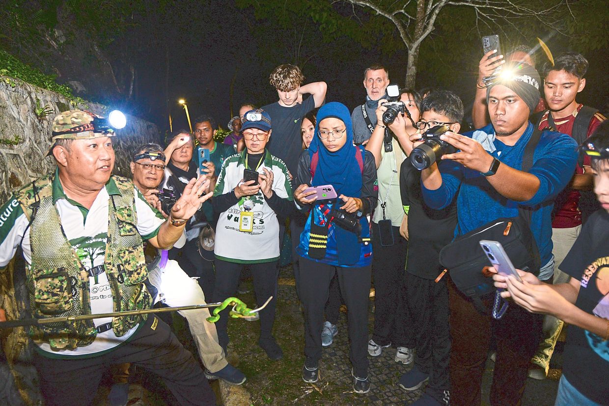 The Night Exploration offers a rare chance for visitors to get a glimpse of Penang Hill’s nocturnal inhabitants.