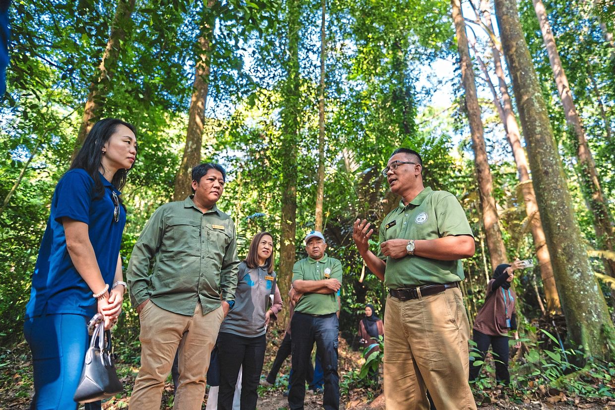 Ismail (right) briefing Ling (left) on the tree species at the Borneo Plot.