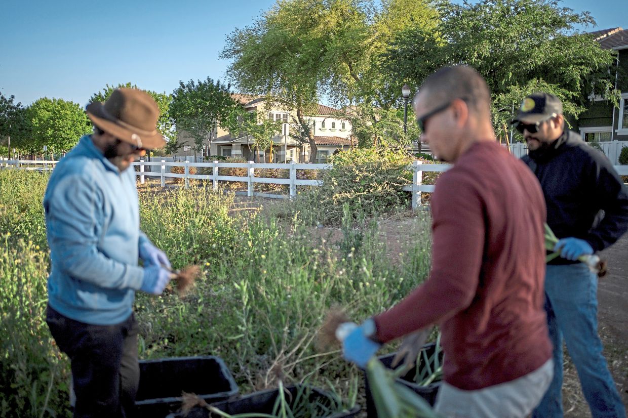 The residents works on a plot of agricultural land with residential homes built intentionally close to the farm.