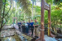 Forest research institute upgrade to boost ecotourism appeal