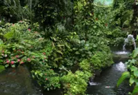 Flower power: Landscaping poised to be RM60bil industry in 2030, says Nga