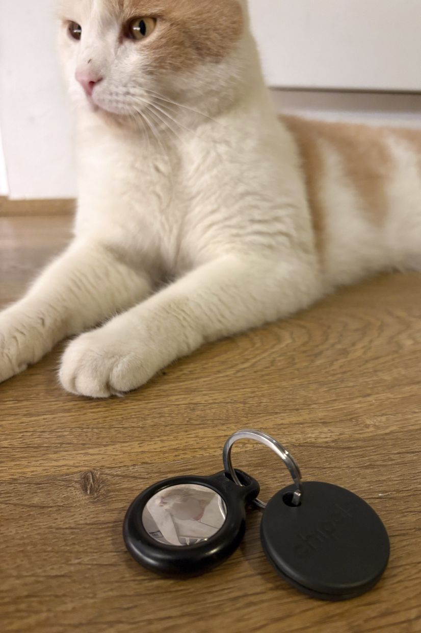 An Apple Air Tag and a Chipolo Bluetooth tracker are seen on a keyring next to a cat in London. — AP