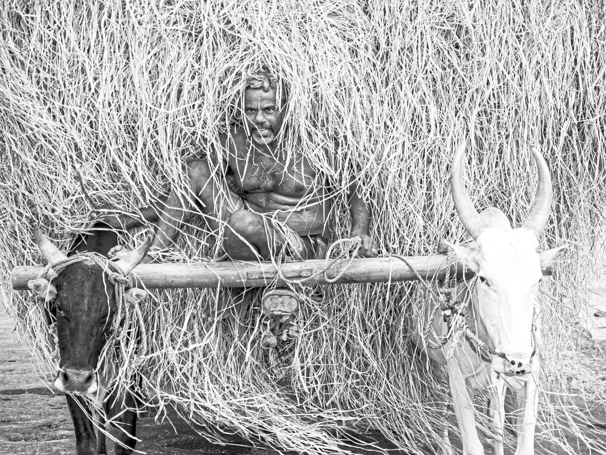 Scenes from Jaffna, Sri Lanka.
