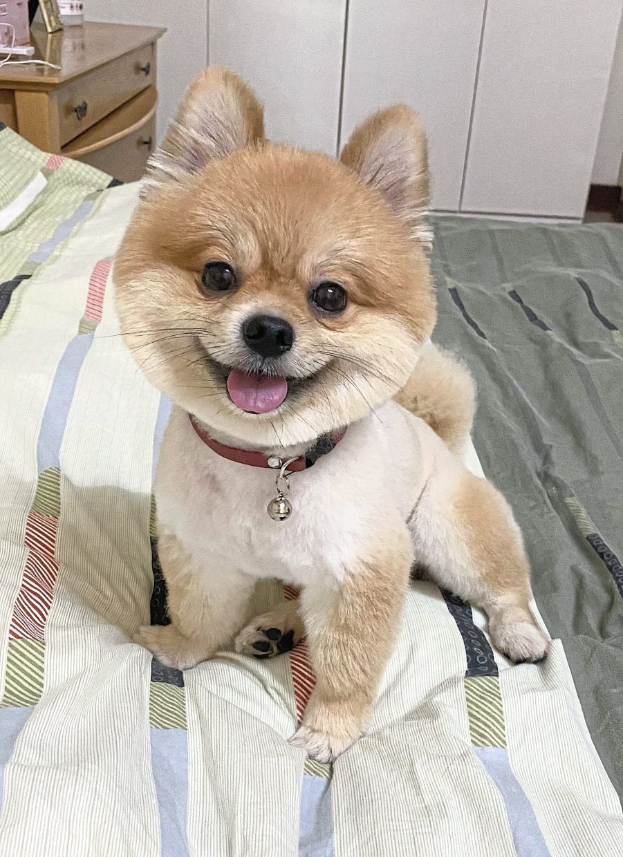 Beary is a little sweetheart.