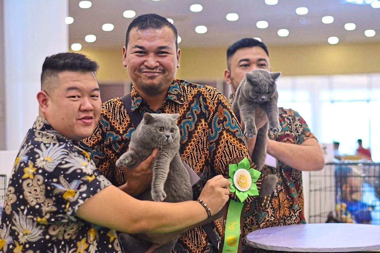 (From left) Cheong and his business partners Faiz Nafedz and Noramin Nordin during a cat competition in Kuala Lumpur.