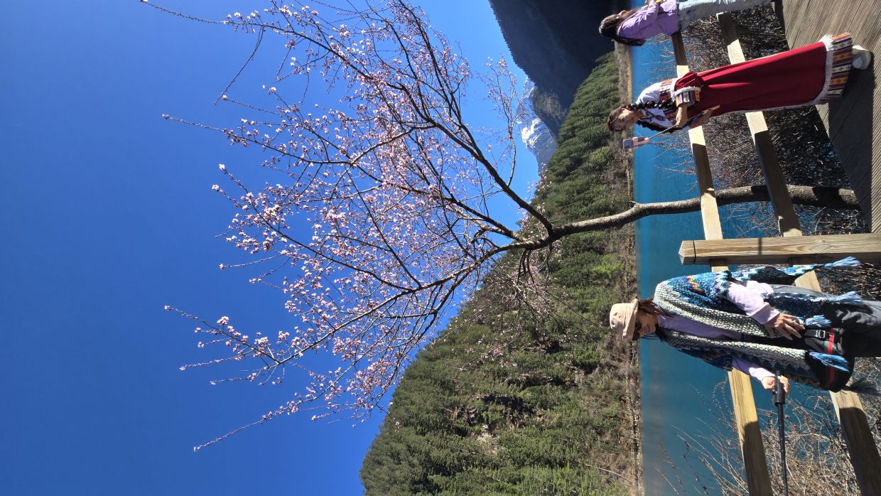Tourists taking the chance to pose with spring blossoms. The lady in red is wearing a traditional Tibetan costume.