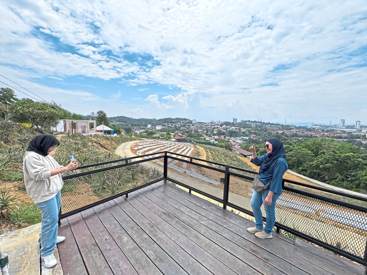 Visitors taking advantage of scenic surroundings at a pineapple farm in Sungai Merab to take photos.