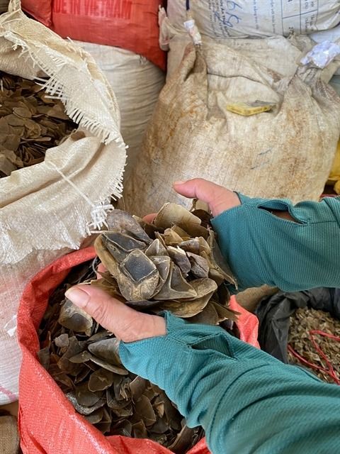 Pangolin scales seized by the police. - Photo: VNA/VNS
