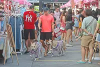 Pets on parade at bazaar