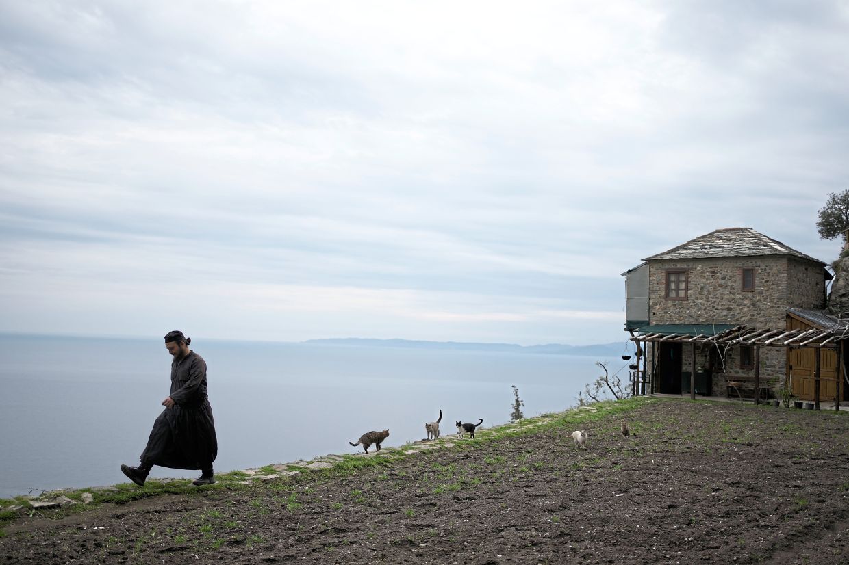 Father Paisios being followed by cats while walking at the Simonopetra. — AP