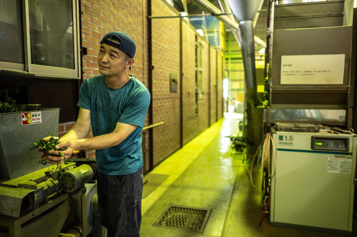 Tea farm owner Masahiro Okutomi presenting the steps of tea processing in a factory in Sayama. - AFP