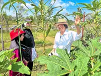 Community farming takes root in Johor