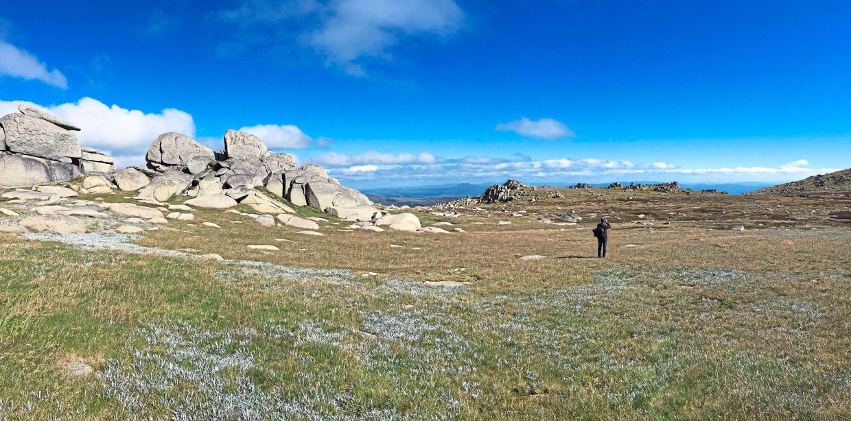 The mountainous landscape near caves where Australian Bogong moths go to cool down and rest at the Ramshead Range of the Snowy Mountains in New South Wales.— ERIC WARRANT/AP