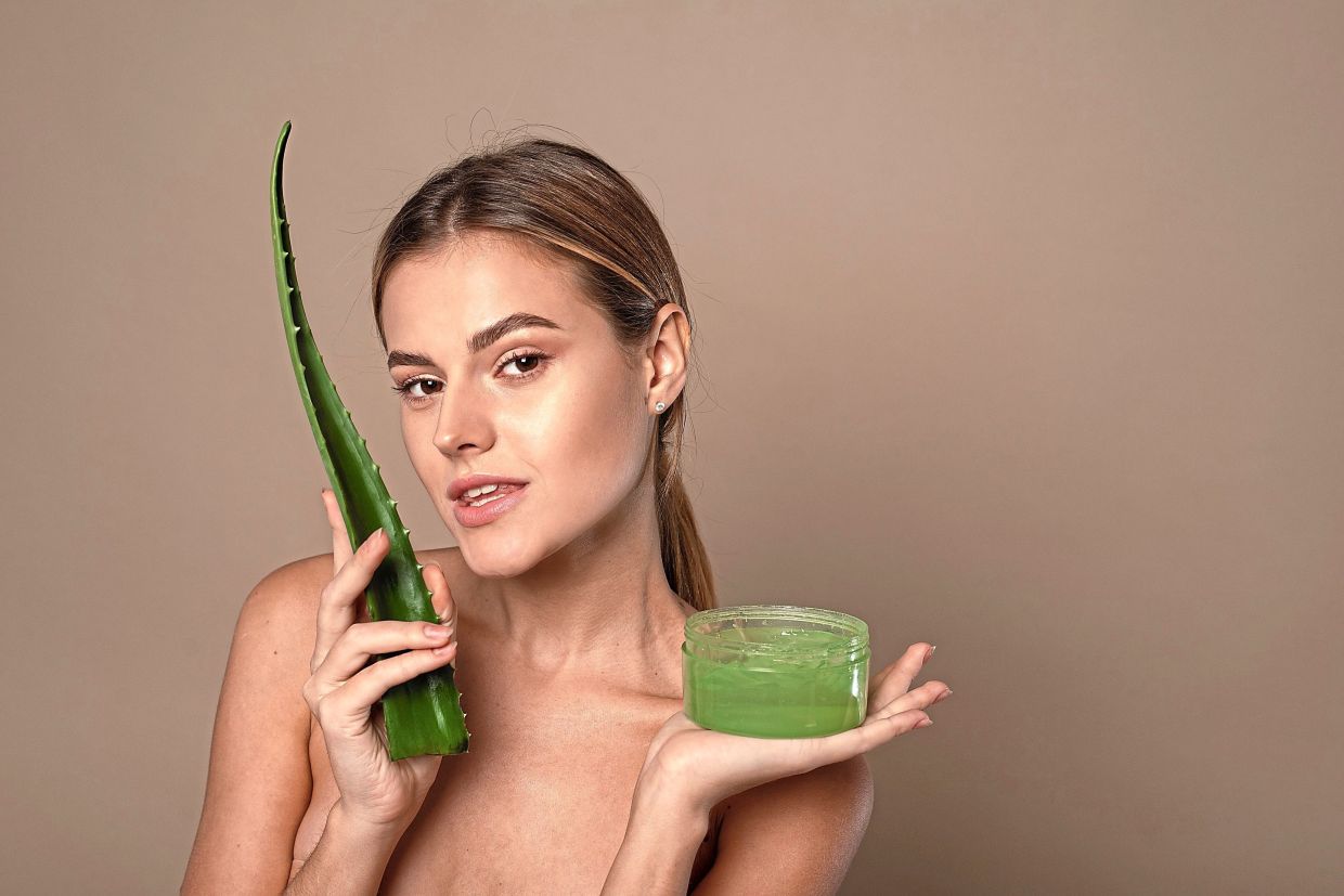 The sap from the aloe vera leaf is used to produce a gel that has a soothing and cooling effect on the skin, ideal for treating sunburn symptoms. — AFP