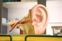 Could ear wax help diagnose Parkinson’s disease?