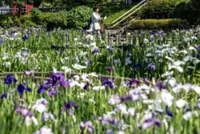 Western Japan sees earliest end to rainy season on record