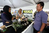 Five pineapple waste processing centres in the pipeline